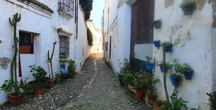 Ronda and Setenil Tour with Free Time and Map from Málaga - Ronda Free Time: How to Use Your Map and Not Rush Lunch