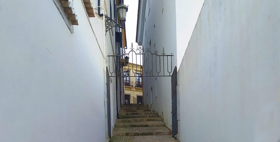 Ronda and Setenil Tour with Free Time and Map from Málaga - Roman Streets and the Viewpoint Game in Ronda