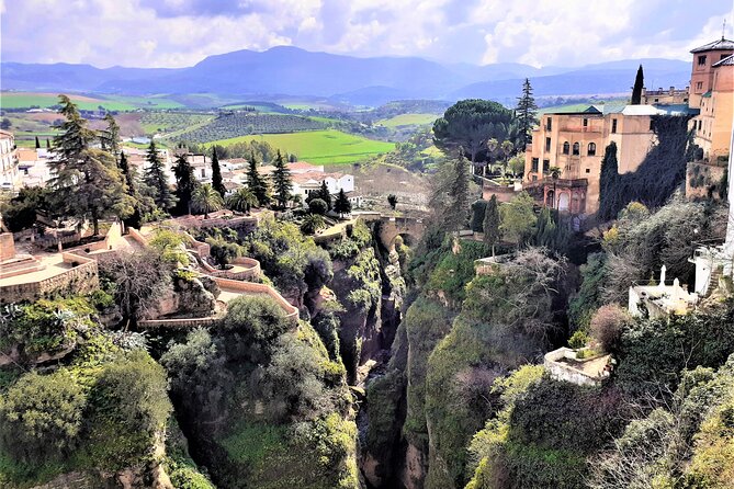 Ronda group walking Tour - Plaza de Toros de Ronda: bullfighting history without the hassle