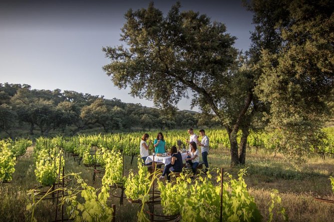 Ronda Private Full Day Wine Tour - Key highlights at a glance