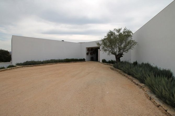 Ronda Private Full Day Wine Tour - Private Ronda Wine Tour: the real value in the structure