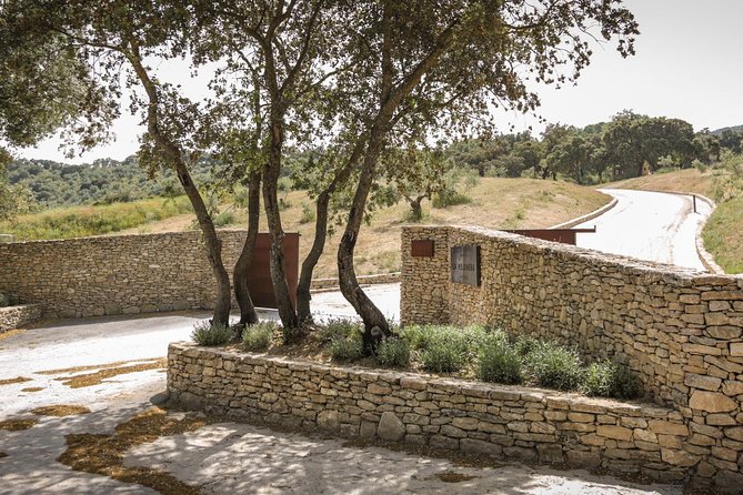 Ronda Private Full Day Wine Tour - Price and timing: is it worth $421.44 per person?