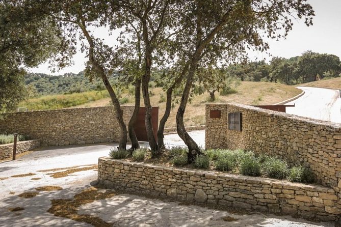 Ronda Private Wine Tour + Free Time in Ronda - Price And Value: Why $415 Can Make Sense For A Private Day