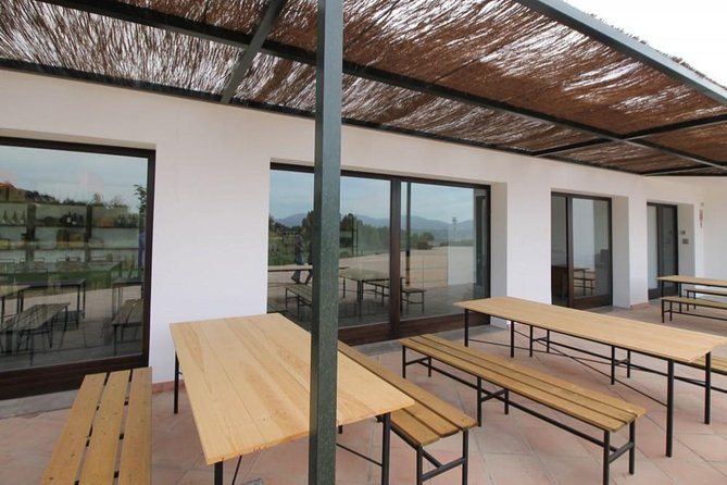Ronda Private Wine Tour + Free Time in Ronda - Smart Tips To Make The 7–8 Hours Feel Worth It