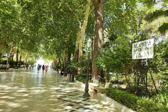 Ronda, the dreamt city: Private Walking Tour - How This 2-Hour Private Route Helps You Get Oriented Fast