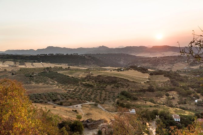 Ronda Village Guided Tour from Costa del Sol - Price and Value: What $81.70 Buys (and What It Doesn’t)