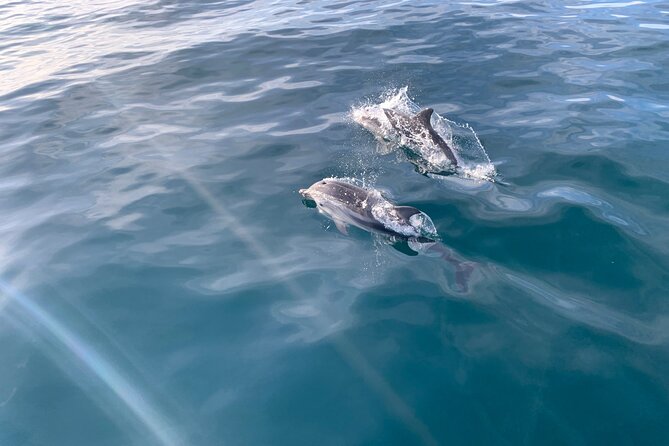 Sailing Adventure: Sailing, Dolphins and Relaxation with Drinks - Key things to know before you go