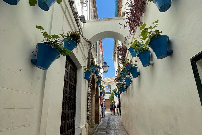 Semi Private Tour to Córdoba from Nerja - Getting to Córdoba from Nerja without the stress