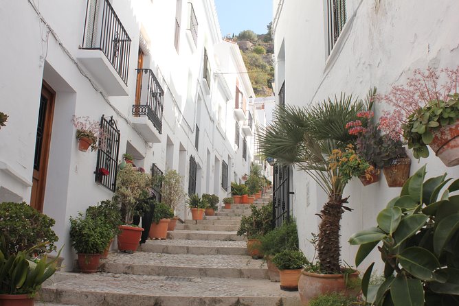 Semi-private Tour to Frigiliana and The Lost Village with lunch included - A small-group Mercedes Vito day from Nerja and Torre del Mar