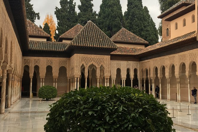 Semi Private Tour to the Alhambra from Nerja - 9 hours from Nerja: pickup, timing, and staying sane