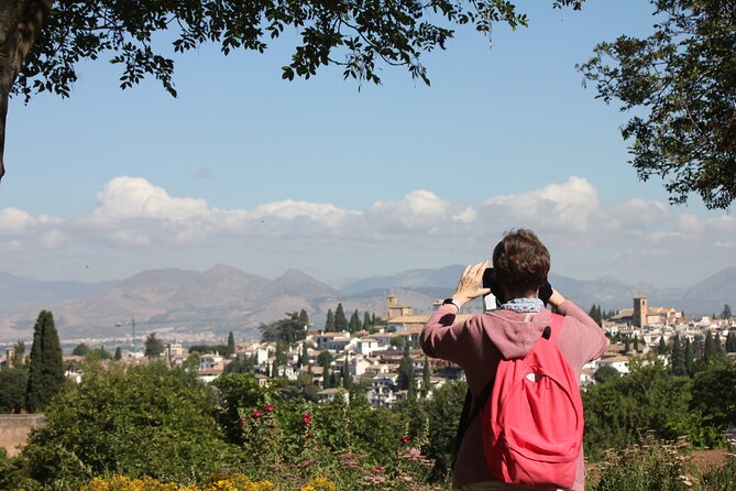 Semi Private Tour to the Alhambra from Nerja - Food and drink: how the tapas lunch works without lunch being included