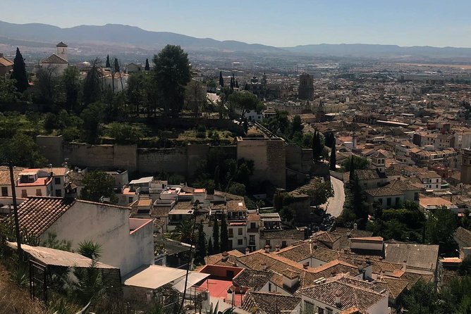 Semi Private Tour to the Alhambra from Nerja - Which guide style should you expect?