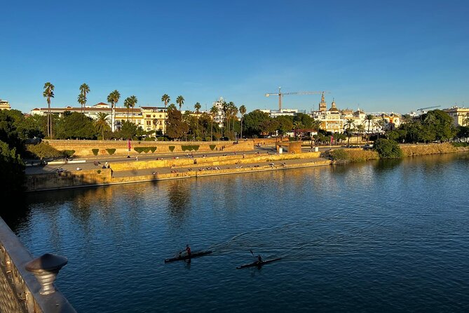 Sevilla Private Full day Tour From Malaga - Monument tickets and big sights: plan what you want to enter