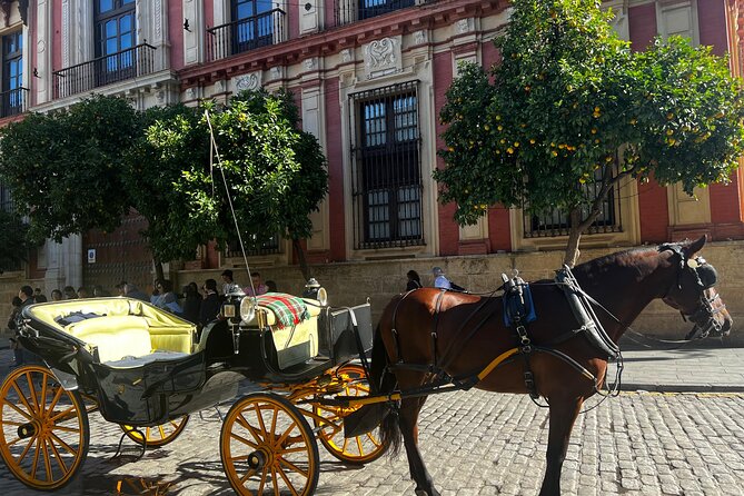 Sevilla Private Full Day Trip from Malaga - Price and Value: Is $447.44 Worth It for a Seville Day Trip?