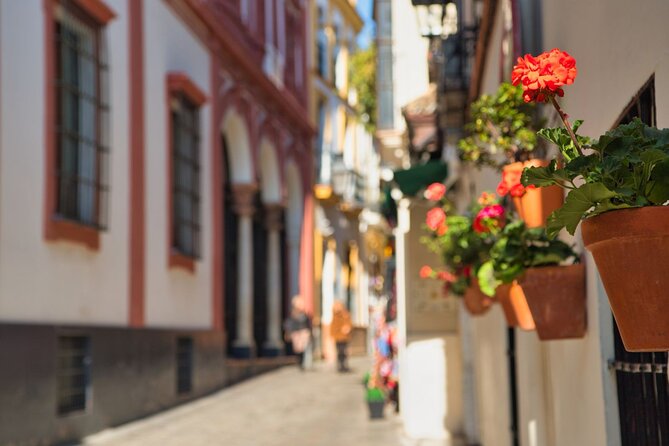 Seville Day Trip with Cathedral Entrance from Malaga - Santa Cruz Walking Tour: Jewish Quarter Streets You Can Actually Feel