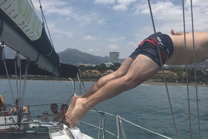 Shared Sailboat Experience Feel nature with dolphins - What your day looks like on the water (and why the timing matters)