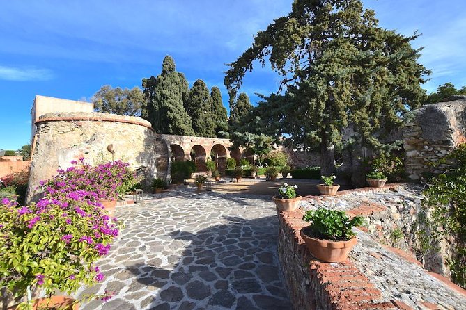 Spanish Civil War Private Walking Tour in Malaga - Private, English-language, and built for your pace