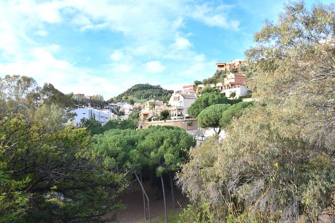 Spanish Civil War Private Walking Tour in Malaga - Who should book this Civil War tour (and who might skip it)