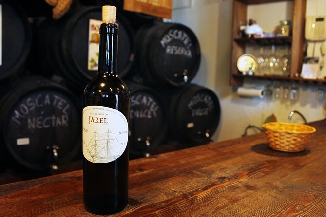 Sun and Wine Route - Small group, wine tasting and tapas included - Key things I’d plan around