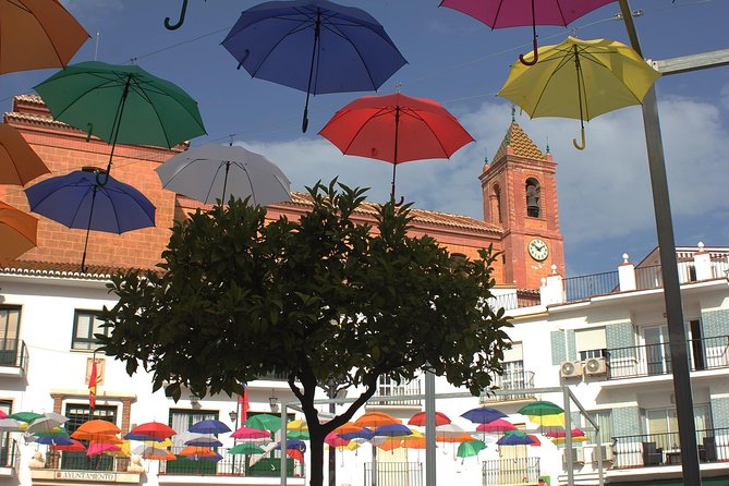 Sun and Wine Route - Small group, wine tasting and tapas included - The tasting and tapas: what to expect from the four wines