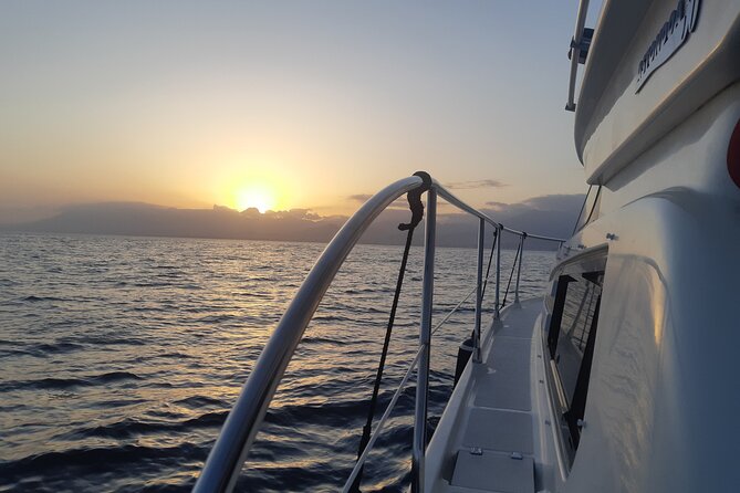 Sunset by boat in Marbella - Cava, snacks, and drinks: how this onboard part really works