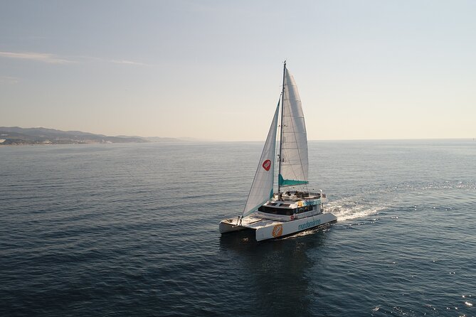 Sunset or night catamaran tour from Malaga - What you’ll see on the water: Malaga’s biggest landmarks in one loop