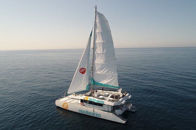 Sunset or night catamaran tour from Malaga - The onboard experience: catamaran comfort, DJ energy, and the Cava moment