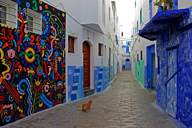 Tangier & Asilah Private Tour with from Malaga or Marbella - Tangier Medina: The shopping lanes and the art of not getting lost