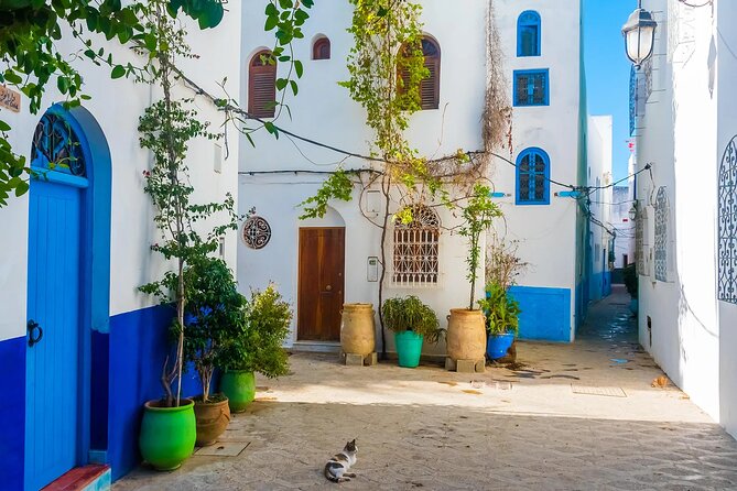 Tangier & Asilah Private Tour with from Malaga or Marbella - Private guiding: How the day stays on time without feeling robotic