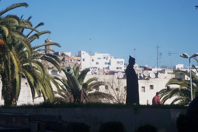 Tangier & Asilah Private Tour with from Malaga or Marbella - Camel ride and shopping time: What to expect beyond the big sights