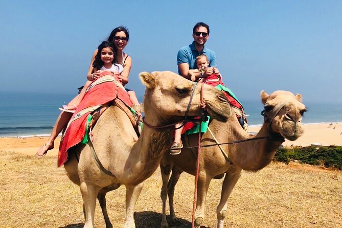 Tangier Private Tour from Malaga or Marbella w/ guide and driver - Getting From Malaga Or Marbella To Tarifa Without Guesswork