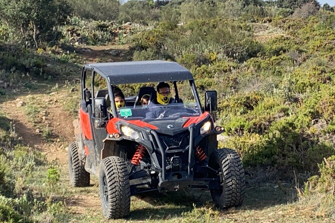 TopBuggy Buggy Safari Ronda Gorge Trip - Ronda Gorge by buggy: why this works so well