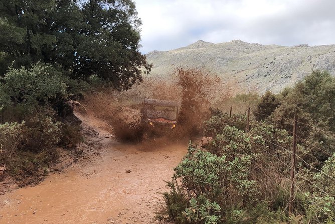 TopBuggy Buggy Safari Ronda Gorge Trip - Stop-by-stop: coffee, El Tajo de Ronda, and the fortified wall passes