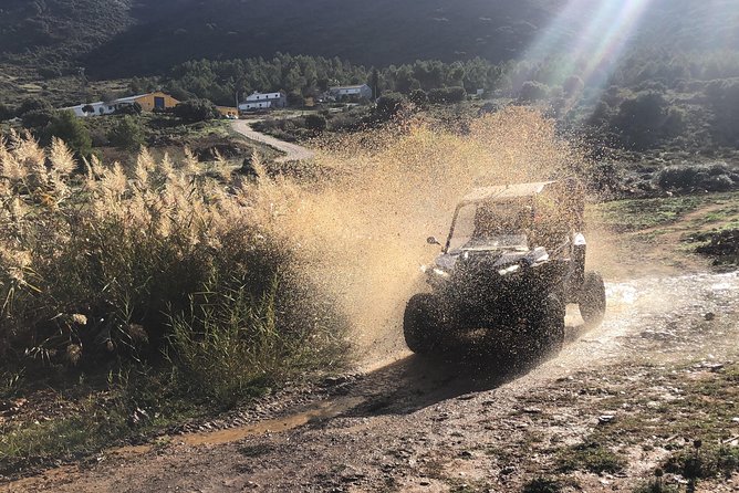 TopBuggy Buggy Safari Ronda Gorge Trip - Price and logistics value: what $223.82 per group buys