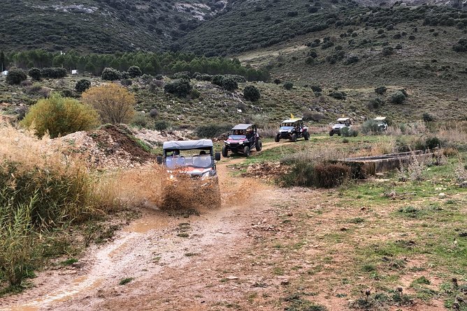 TopBuggy Buggy Safari Ronda Gorge Trip - Who this tour suits best (and who might prefer something else)