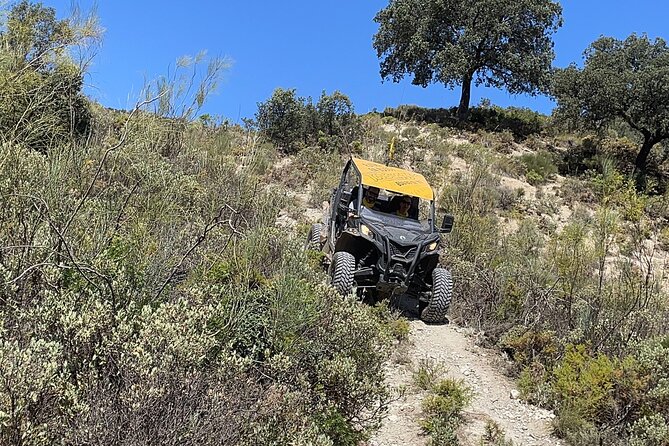 TopBuggy "Surrounding Ronda" Buggy Safari - What’s included: water, coffee/tea, and a drink/tapa