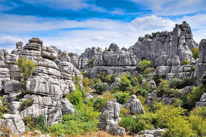 Torcal de Antequera Hiking Tour from Málaga - Return to Málaga: Wrap-Up and Timing for the Rest of Your Day