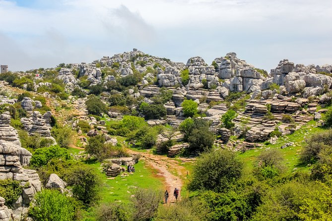 Torcal de Antequera Hiking Tour from Málaga - Price and Value: Is $66.38 Fair for a Small-Group Torcal Hike?