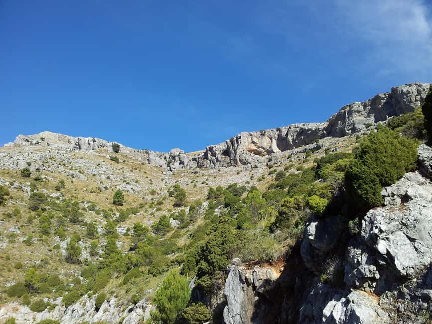 Torremolinos-Benalmádena: Jeep EcoTour - Authentic Andalusia - Price and value: what $145 buys in a day this packed