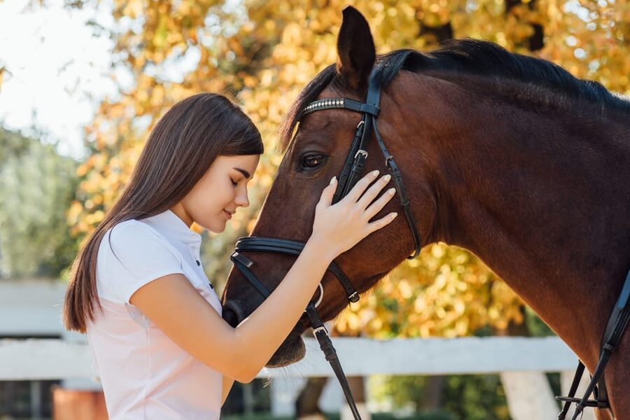 Torremolinos: Guided tour to stables of El Ranchito - Ritmo a Caballo Magic Starts in the Stables