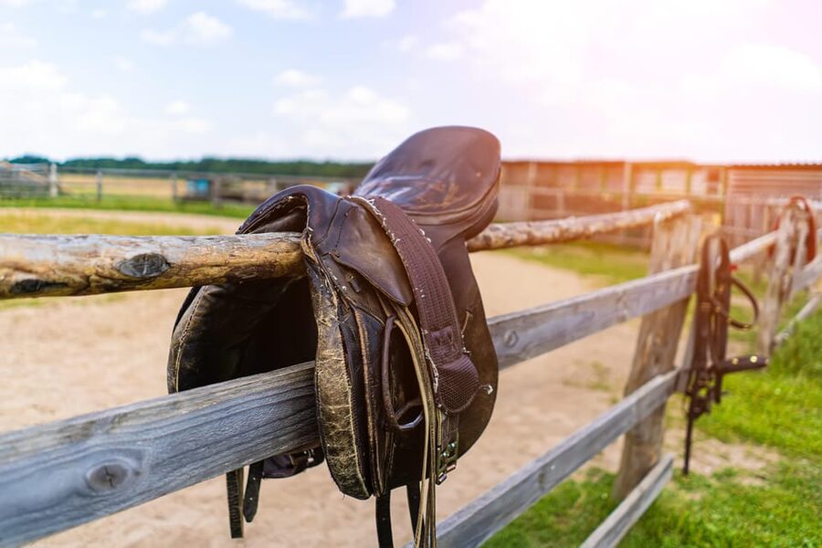 Torremolinos: Guided tour to stables of El Ranchito - Timing the Experience With the Ritmo a Caballo Show (17:45–19:00)