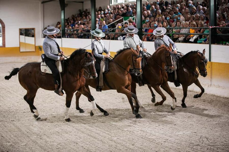 Torremolinos: Spanish horse and flamenco show - Key highlights before you go