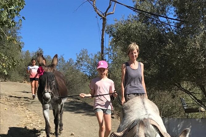 Tour the Sanctuary and Walk with the Donkeys and Share their Love - How the 3-hour morning runs: arrival, safety talk, and donkey walk