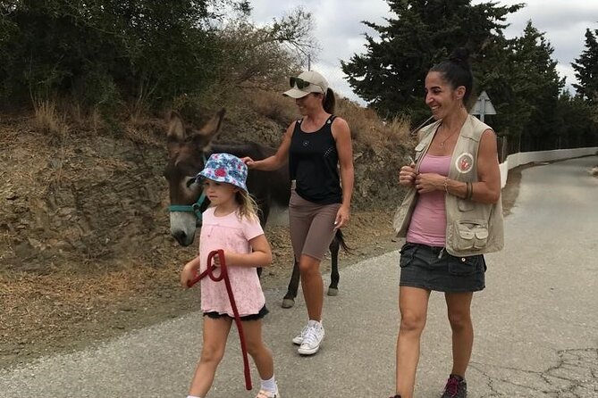 Tour the Sanctuary and Walk with the Donkeys and Share their Love - Getting there from Malaga: transport and timing reality