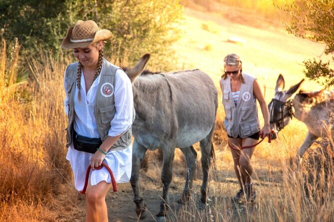 Tour the Sanctuary and Walk with the Donkeys and Share their Love - Who this tour suits best (and who should reconsider)