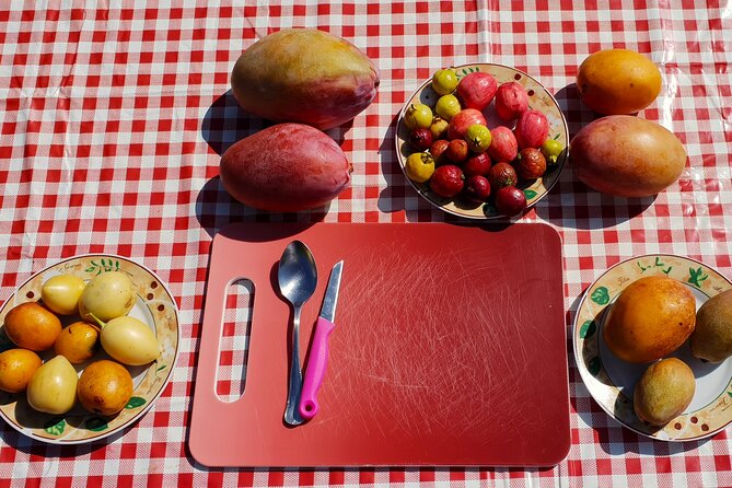 Tropical Tour: Avocado & Mango Farm - Small group and tasting - Stop 2: TROPS cooperative in Velez-Málaga and the shop for gifts