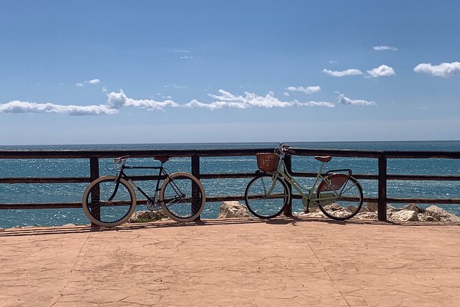 Vintage Style Bike Rental in Malaga - Price and value: why $14.45 per person can work