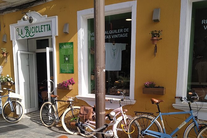 Vintage Style Bike Rental in Malaga - The bike itself: vintage style, real-world comfort