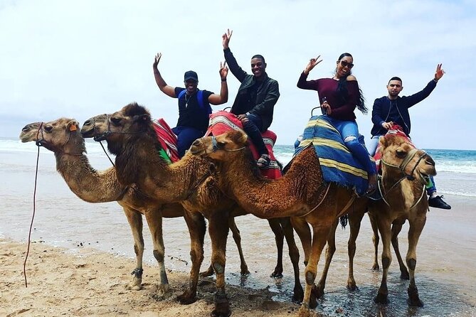 Vip Full Day Private Tangier Tour From Malaga All Inclusive - Key highlights to look for