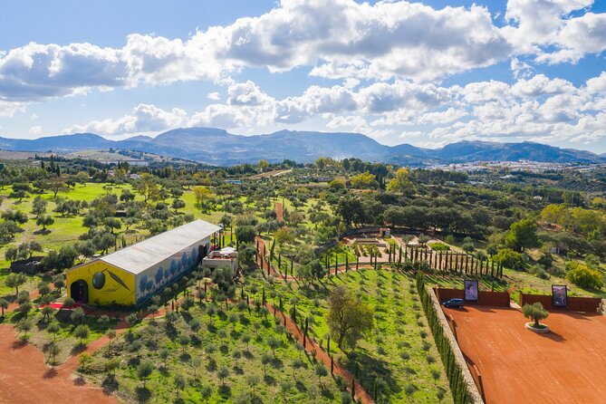 Visit Oil Mill Museum and Olive Oil Tasting in Ronda - Key things that make this olive oil tasting worth your time
